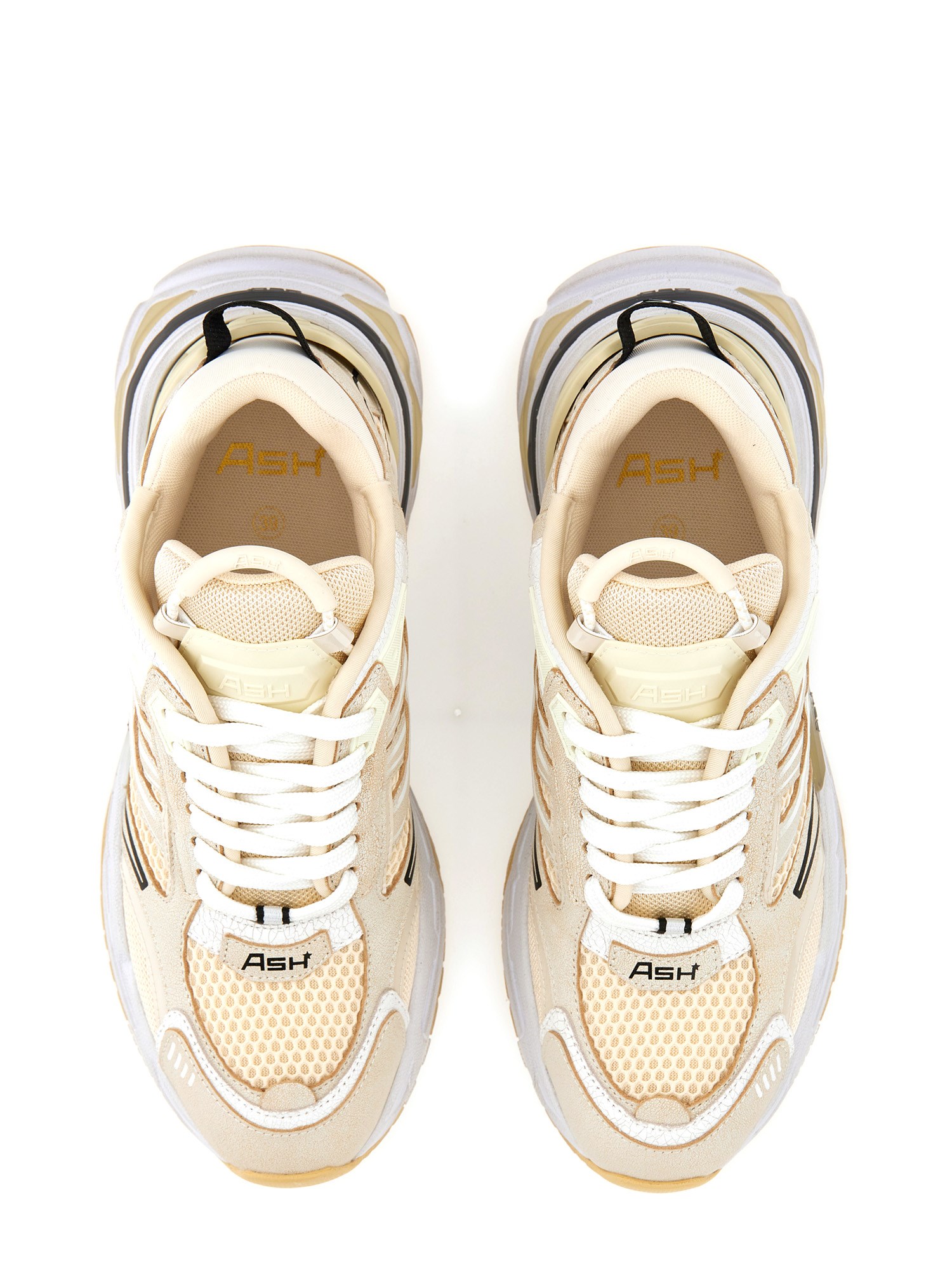 ASH    SNEAKER RACE