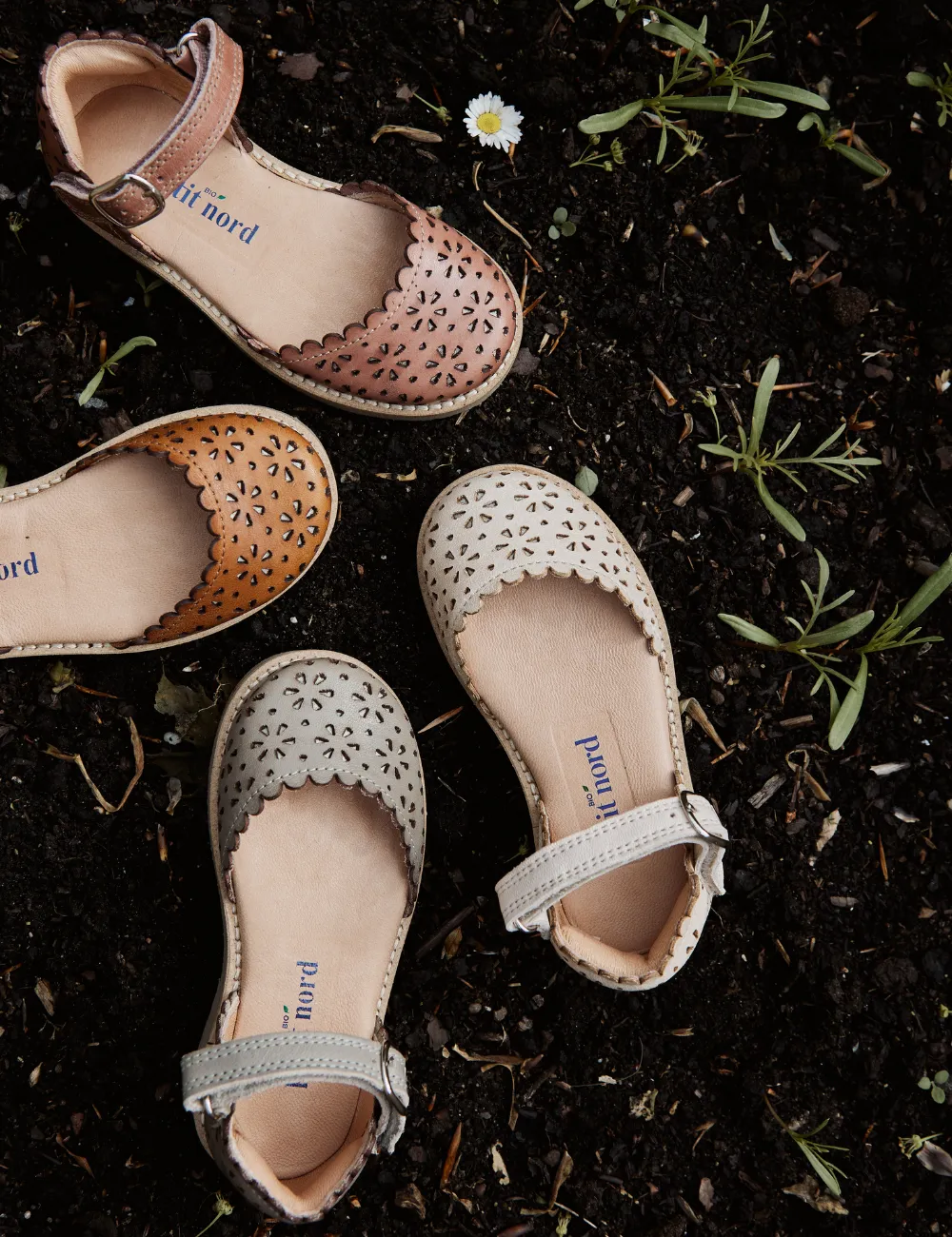 Ladida Flower - Cream